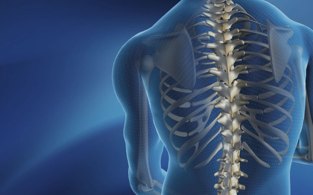 7 Myths About Back Function ~ by Dr Stuart McGill